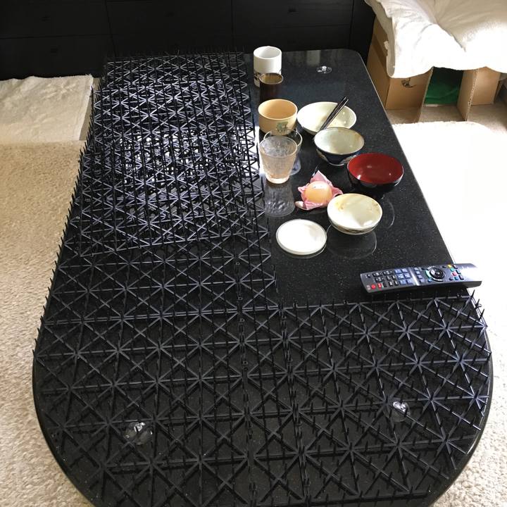 De1761d4 903e 4870 b48e d772ec72b075