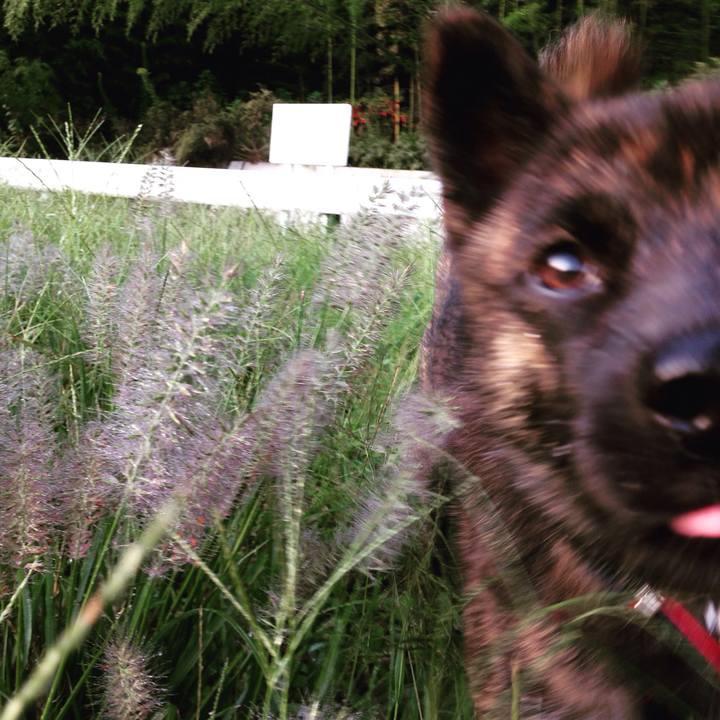 De17b3b6 ea96 4f01 b952 bd43b545f9d6