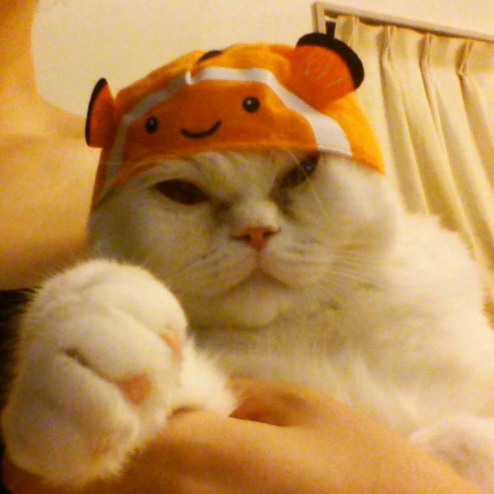 De17f451 537e 489a 9741 38a75068ec43