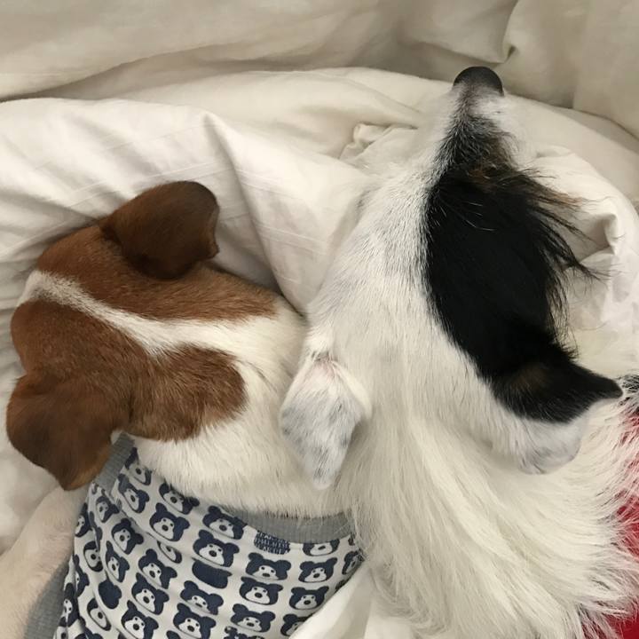 De18e822 8913 4f75 80dc 0b2b2ae1150e