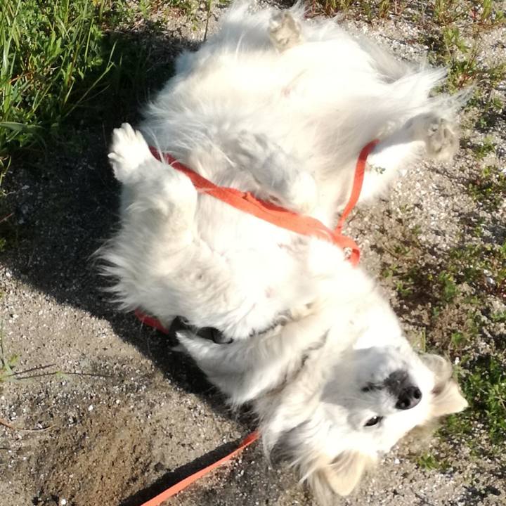 De192abd 178c 4c85 8dfc b256eb480e6c