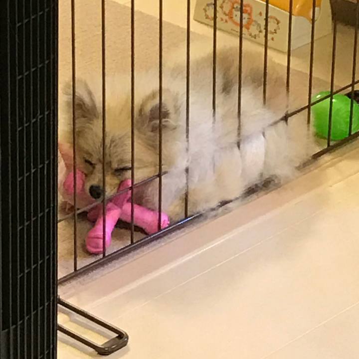 De1940b9 86ce 448a 9626 aa1bc8293616