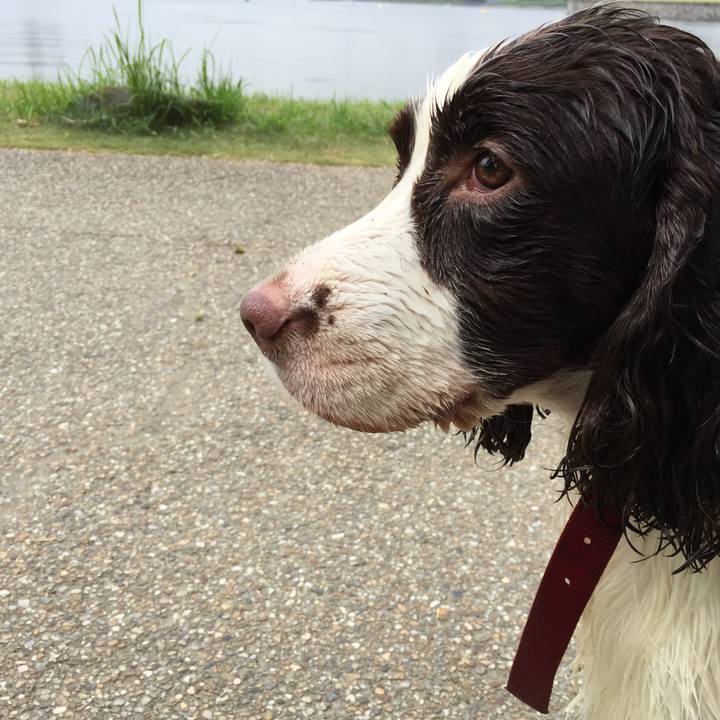 De19b42a ee3a 45b6 9c33 617b2eb197e9