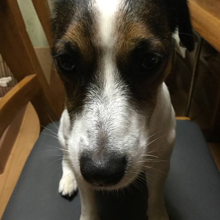 De19e6c1 2806 46b5 a843 7dbae0afe4c8