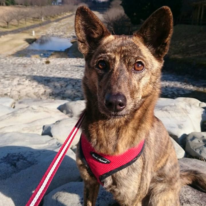 De1a86d5 c028 42db 9f01 30b7d39f3002