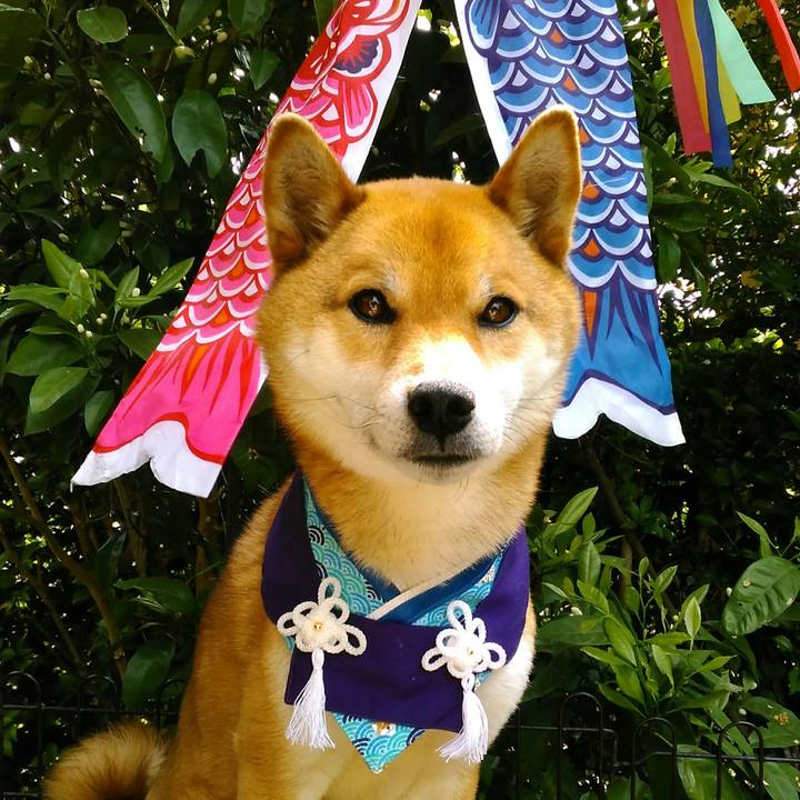 De1ab978 83df 4911 a032 3a01107a7df5