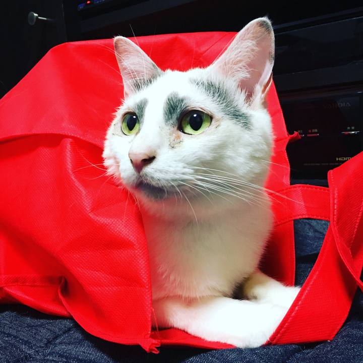 De1b0926 4a84 4b2f 8b68 3cc6d6f75482