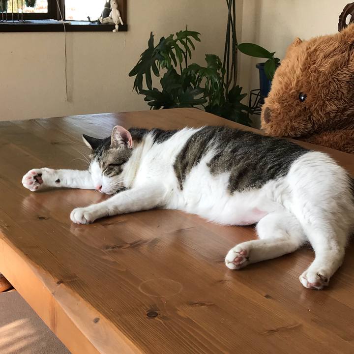 De1b25f2 2733 48bd a0a7 f3e3cb225048