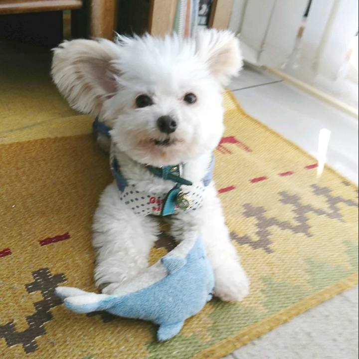 De1b6de8 49a7 4a4f b0f0 8e15585eac16