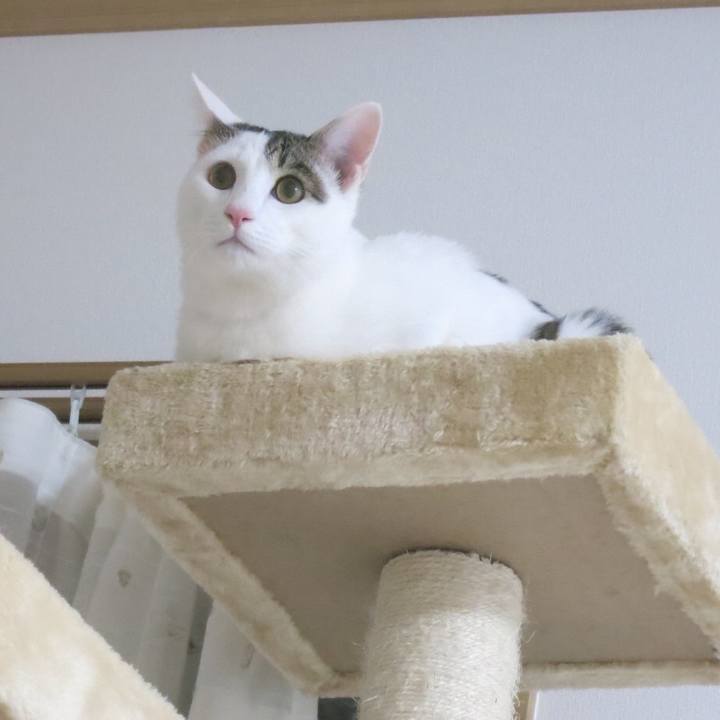 De1c57eb 4b9d 42f7 8f32 c24dd73de2c8