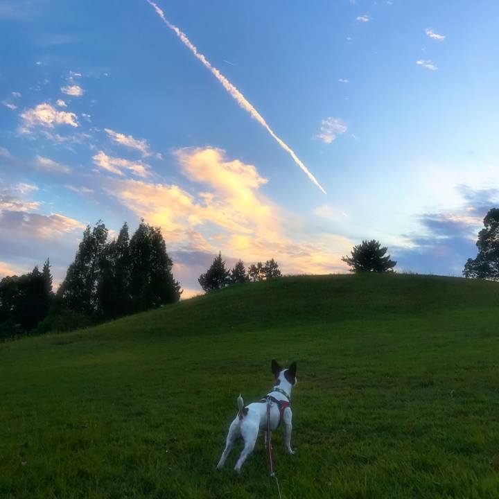 De1c8bf9 21a5 43de 976c 0c78849cfeb8