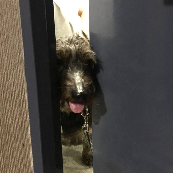 De1cfff7 ae83 4f4e 8f89 5948aabd771f