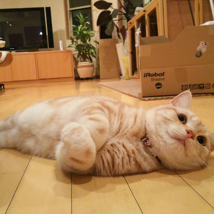 De1d0d38 0b0c 48a3 81ed 202c4b975030