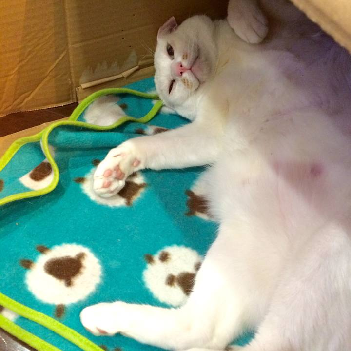 De1db664 c5a3 47bb 9049 9ea9b9547cdb