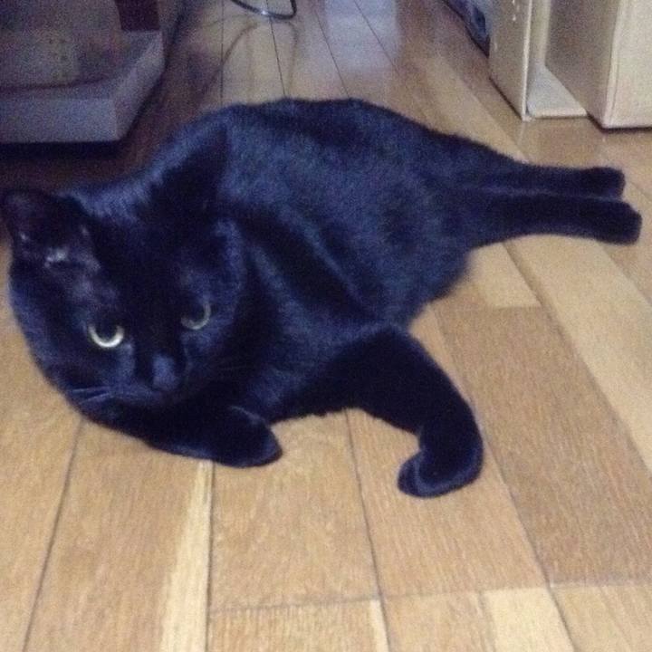 De1df65b 0903 4d2f add3 87b6cd214cd8