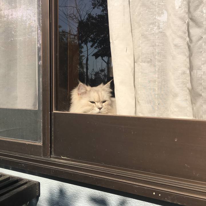 De1e826c 62ee 43dc acea 1d01ad6fa6fe