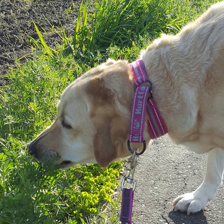 De1eac7d 14ec 490f 899f b31773279d52