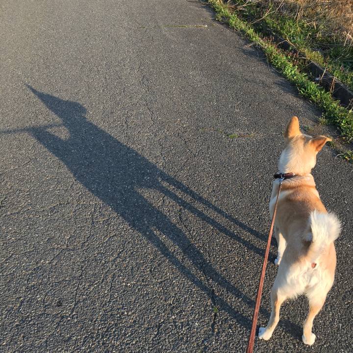 De1ed21a 67fb 47f8 bd1e fc5051528b71