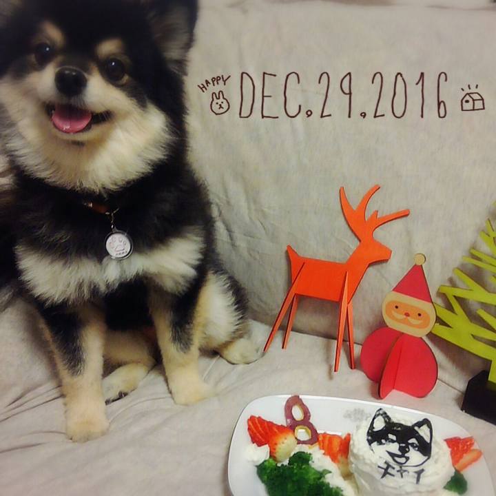 De1f0eef 9ac8 4955 89d1 e455f254de4f