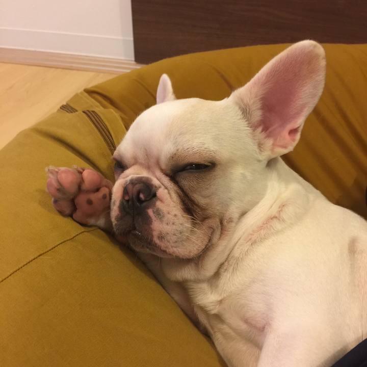 De1f1fe1 c9ac 4d72 89f4 b4e68634769b