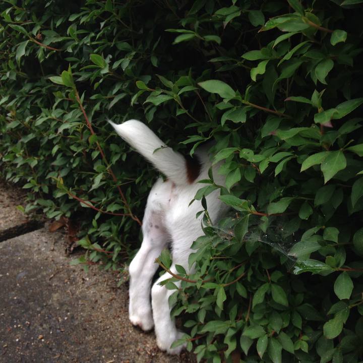 De1ff6a9 ab22 445d 8120 e7e33cb00e21