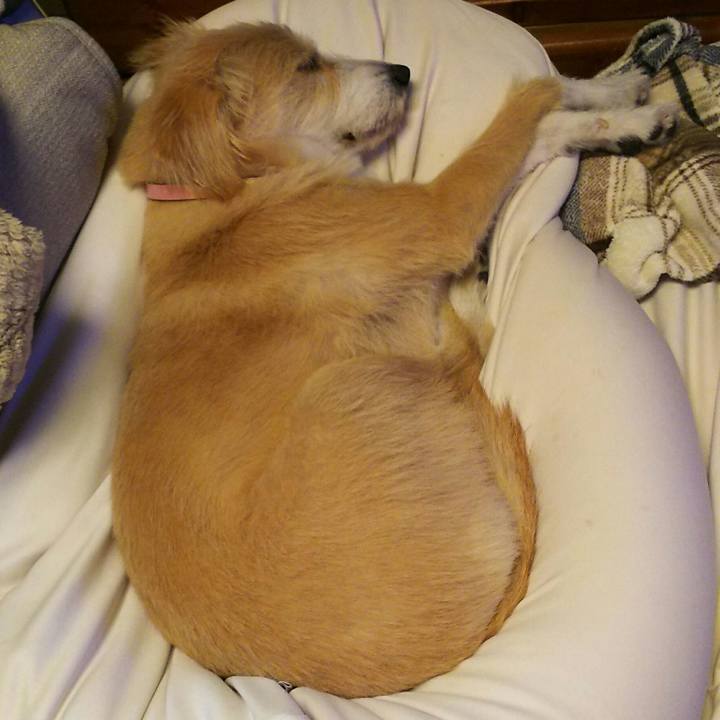 De2017a5 d6f0 4311 aeac c85989f73bb3