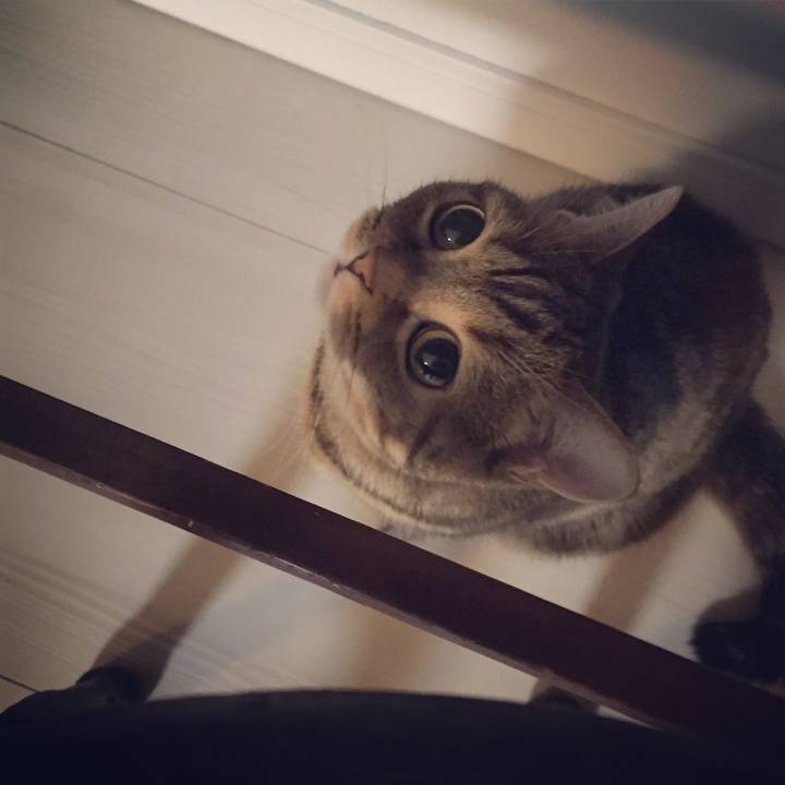 De207754 8929 4537 8bc6 1939085b2a65