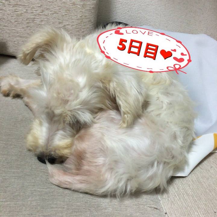 De208f23 47c1 4b3e b360 685c3d2d0b85