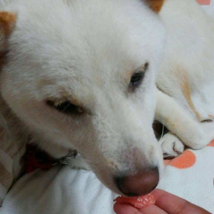 De20bee1 1ac0 47b8 9047 9cd72ba1ac64