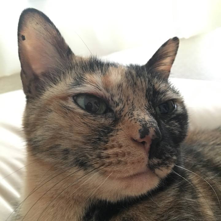 De20e0f3 e825 4919 8e54 b8ce429a427b