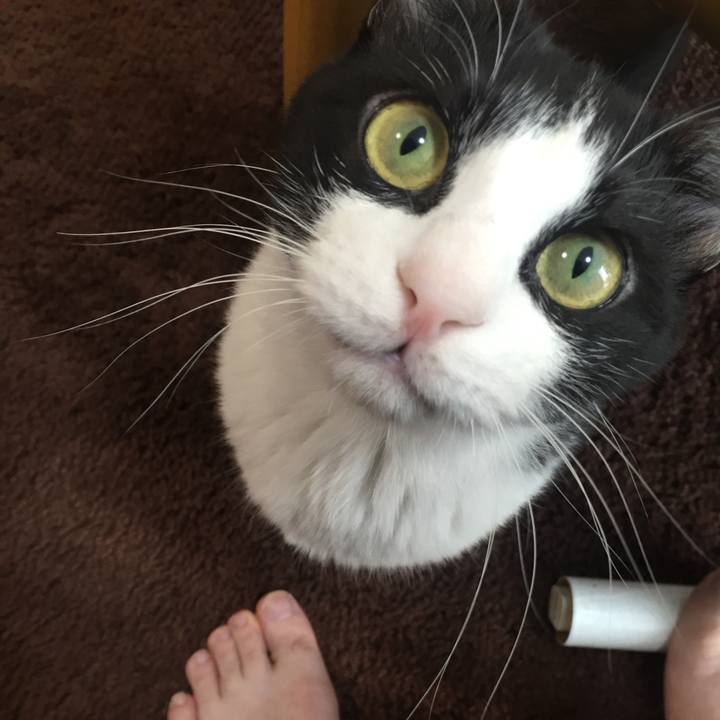 De20faab bd5b 4404 b55f 3e1d0328aa41