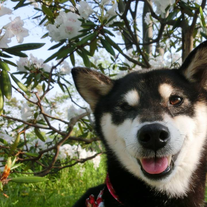 De218a28 9410 4b32 a529 ef9627130ed4