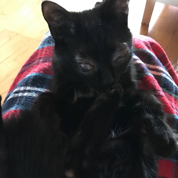 De21bbb0 3b07 4e3d 9296 a4d9fb9449cd