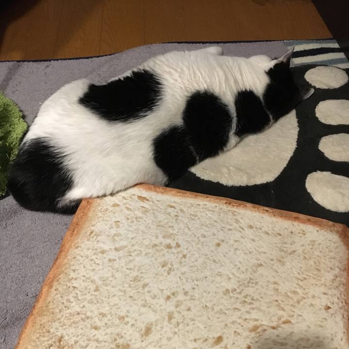 De2232cc 28b9 48c9 8a05 a4ed91168088