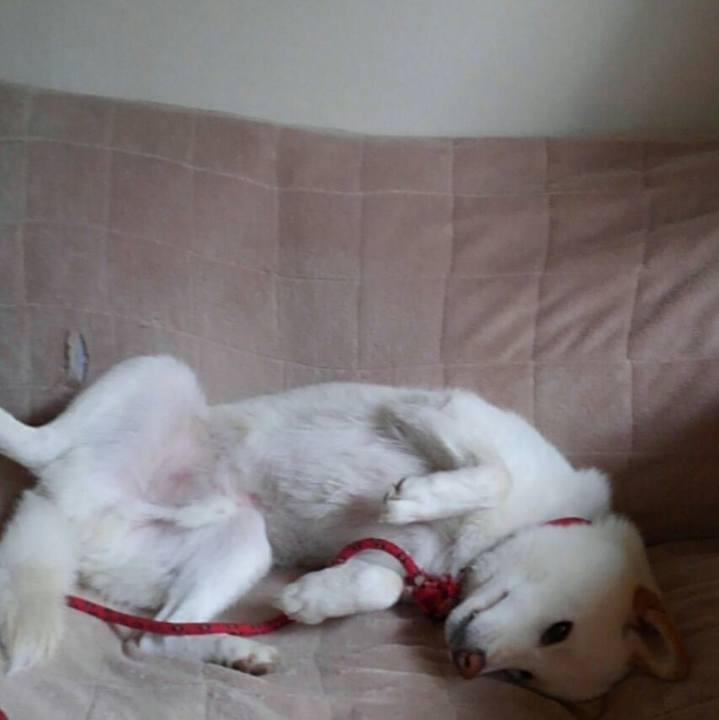 De229113 3117 4491 9ab8 139e84c9b67f