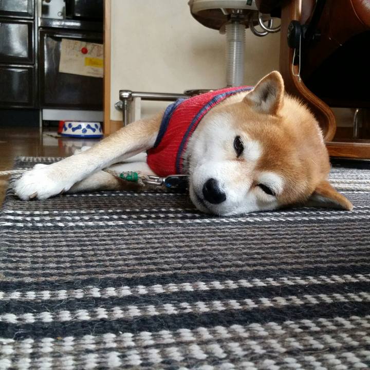 De231a08 3279 47a3 9720 6aa21c805d94