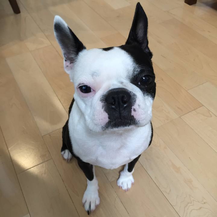 De2339ba b903 4619 b91d 71267d6d44a5