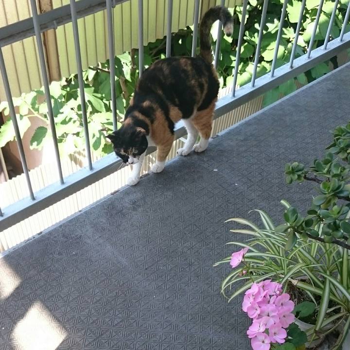 De23a7d2 aa10 4128 8bf4 166c0fab1be8