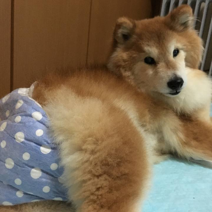 De241b85 bc37 46fc aeef ea6d1ca9a40f