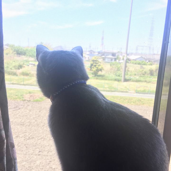 De2451f7 0c86 4f2b 80cc 823c81452959