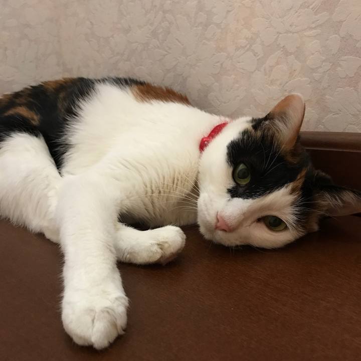 De249d61 36b6 4128 8be2 8d7a21198eab