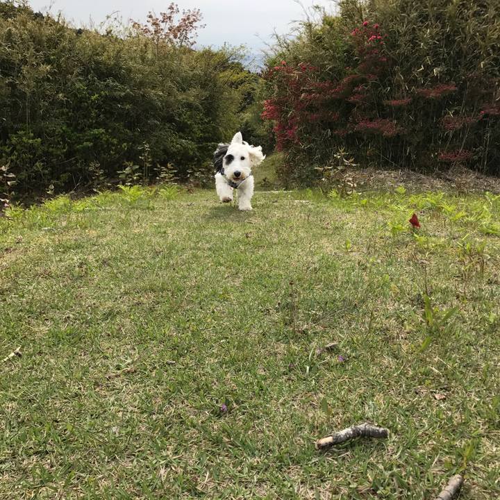 De24c439 39ef 4bc4 abe7 fcccfcdba5a3