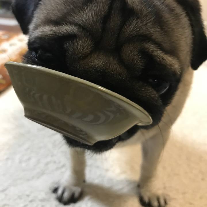 De254cf8 d983 499f 9b35 f7a19cfada3c