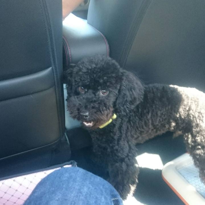 De2567b1 55f5 4782 8acc 0831c8cf2a03