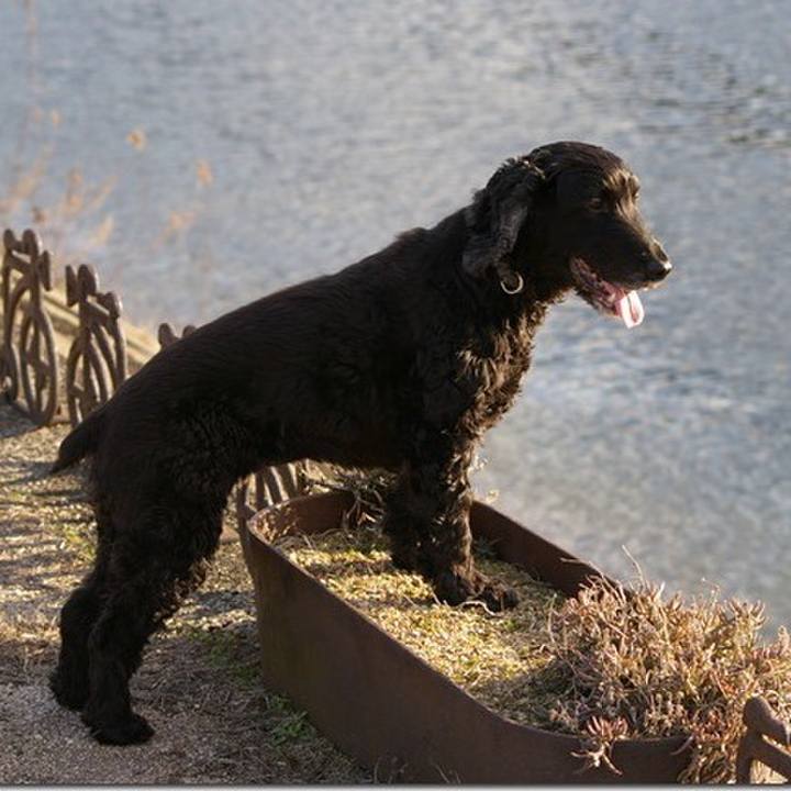 De25d367 0fed 4a33 b058 6fb837699bb0