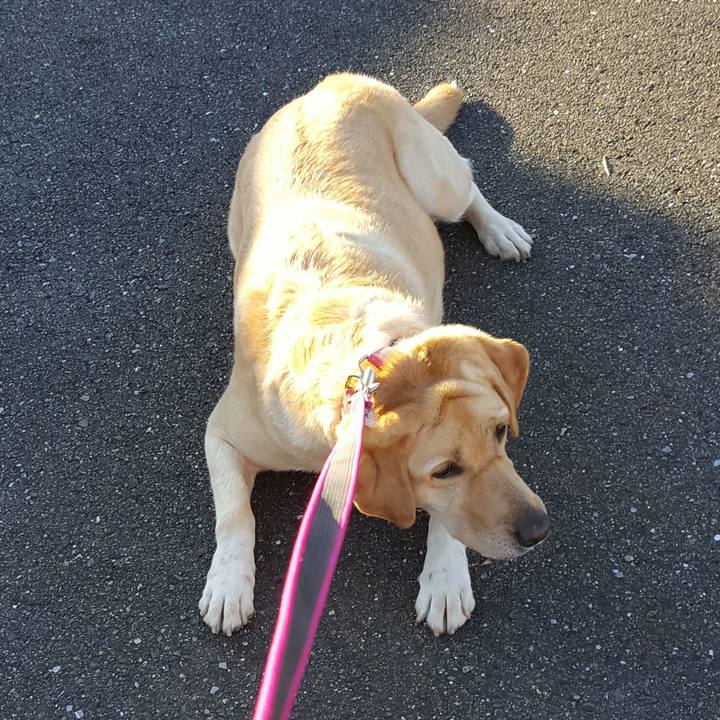 De262cf0 c932 47c0 8a0c 87aa150a78b3