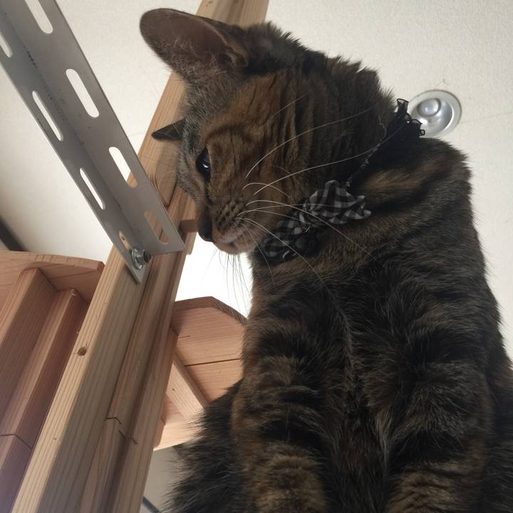 De264ff9 f072 4f97 8a8b ec73c149e69b