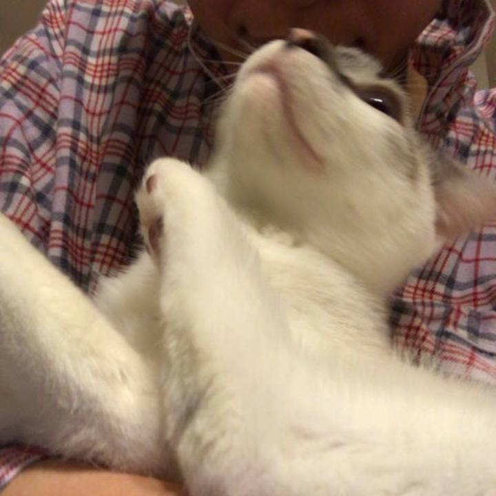 De271d41 1826 40d3 a01c 66779ba4b623