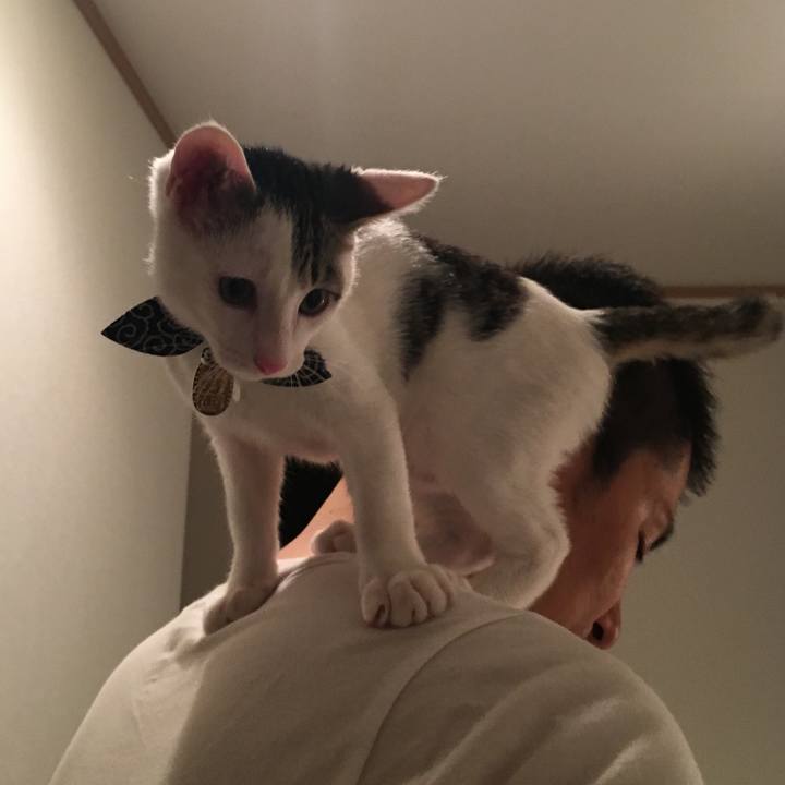 De27219c 83e8 4c4c 8458 f3247bcabf72