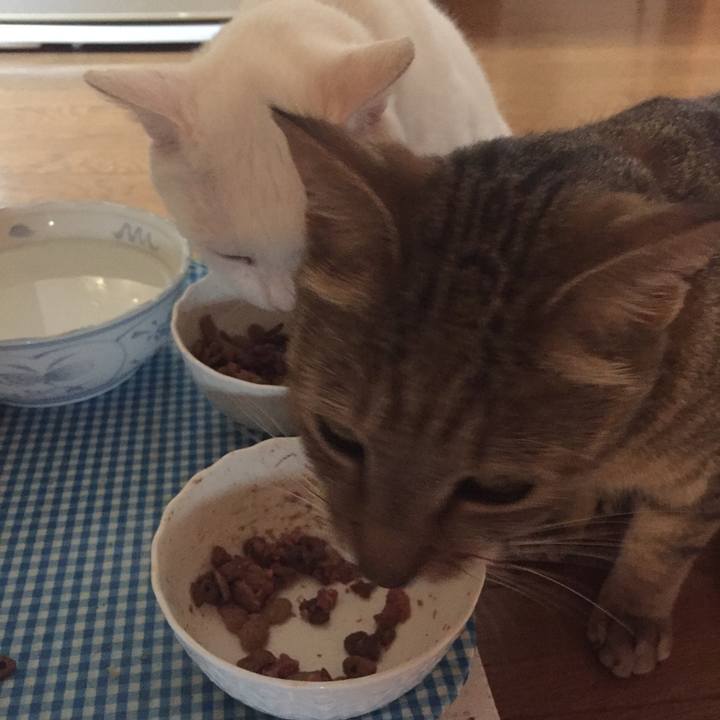 De27baa4 512c 4f52 abdf 3fc2192cf922